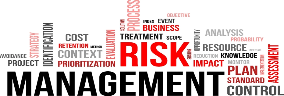 risk management